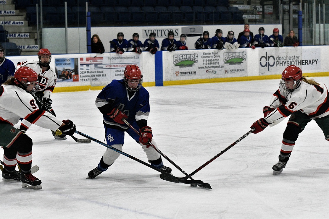 TVRA S-E hockey final