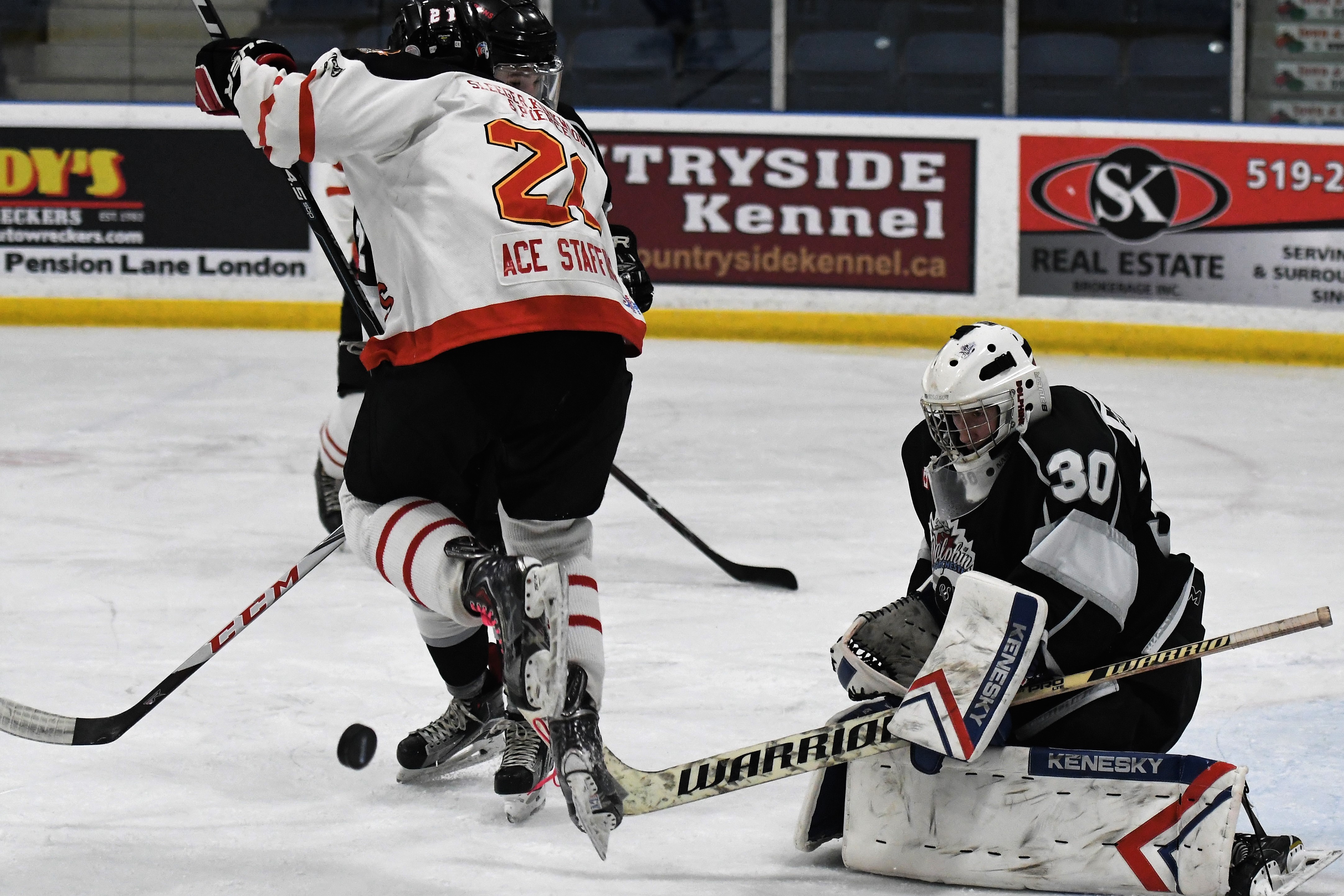 Dolphins - Bulldogs game five action