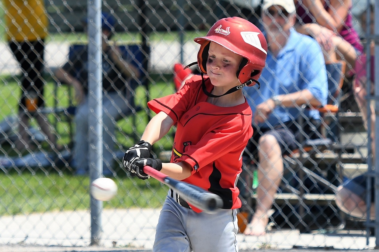 major mosquito final