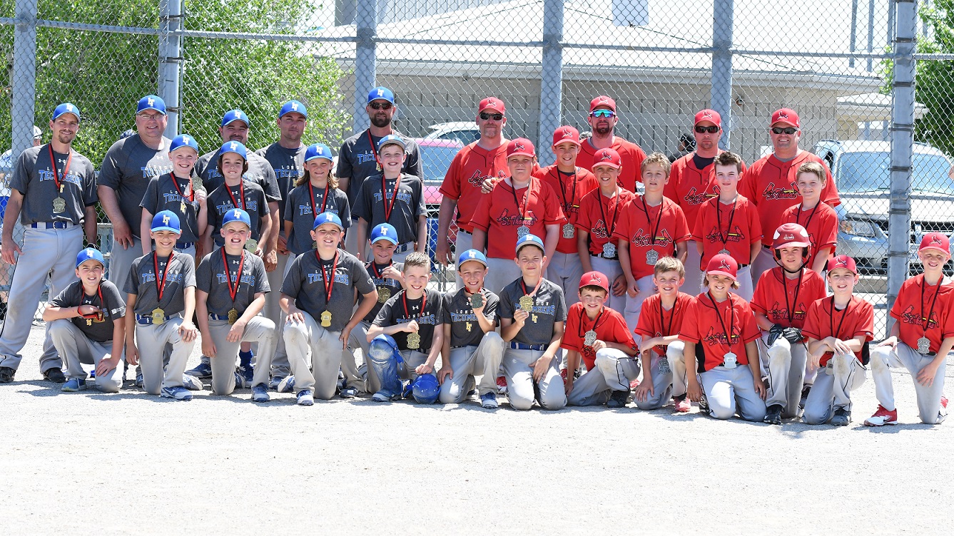 major mosquito final