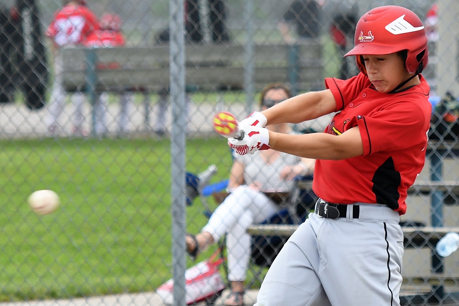 major mosquito final