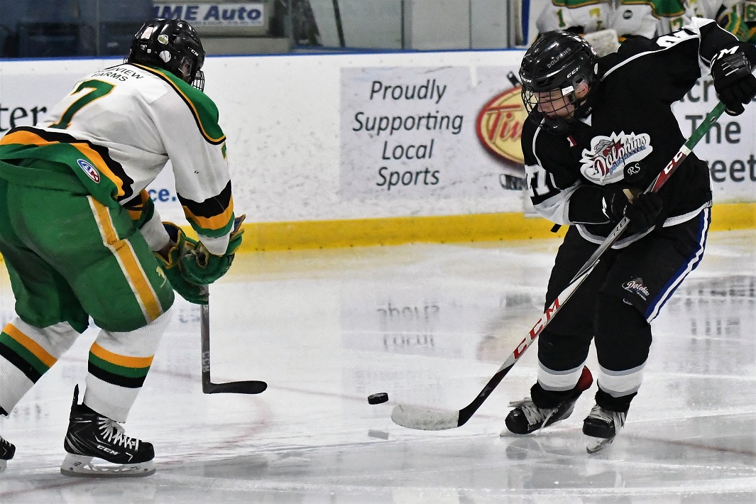 Dolphins vs Thamesford