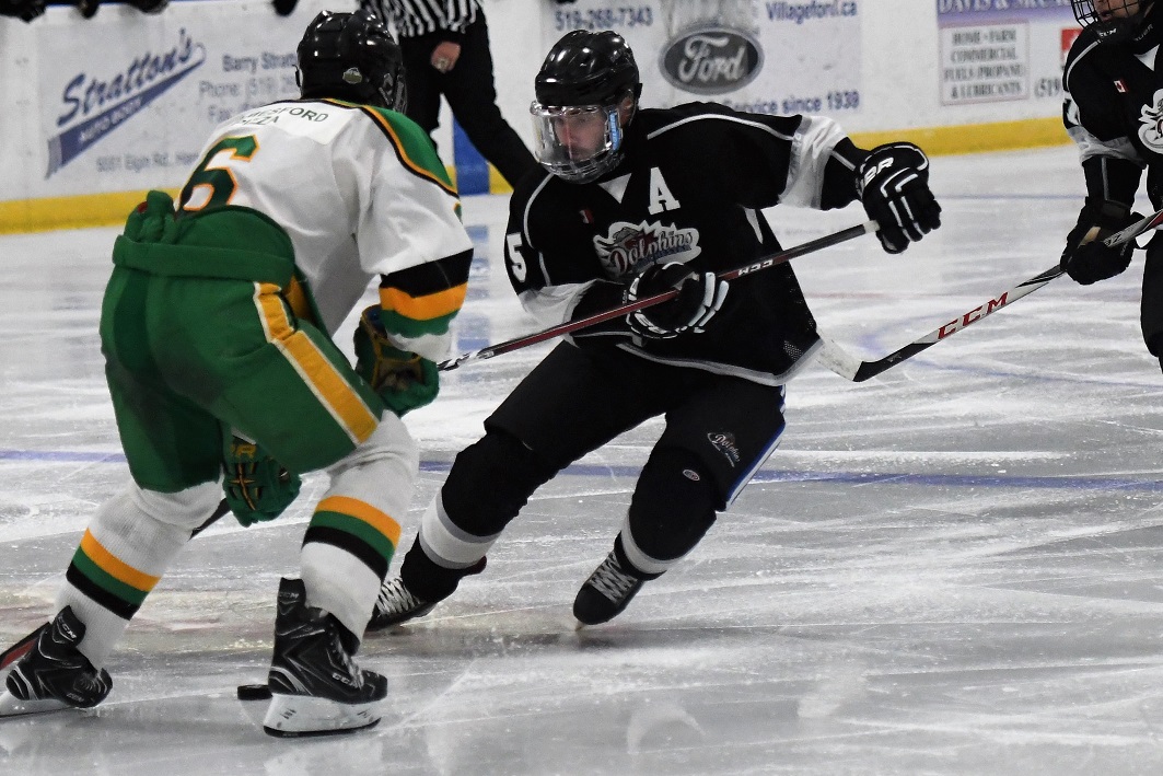 Dolphins vs Thamesford