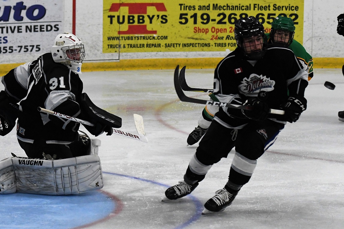 Dolphins vs Thamesford