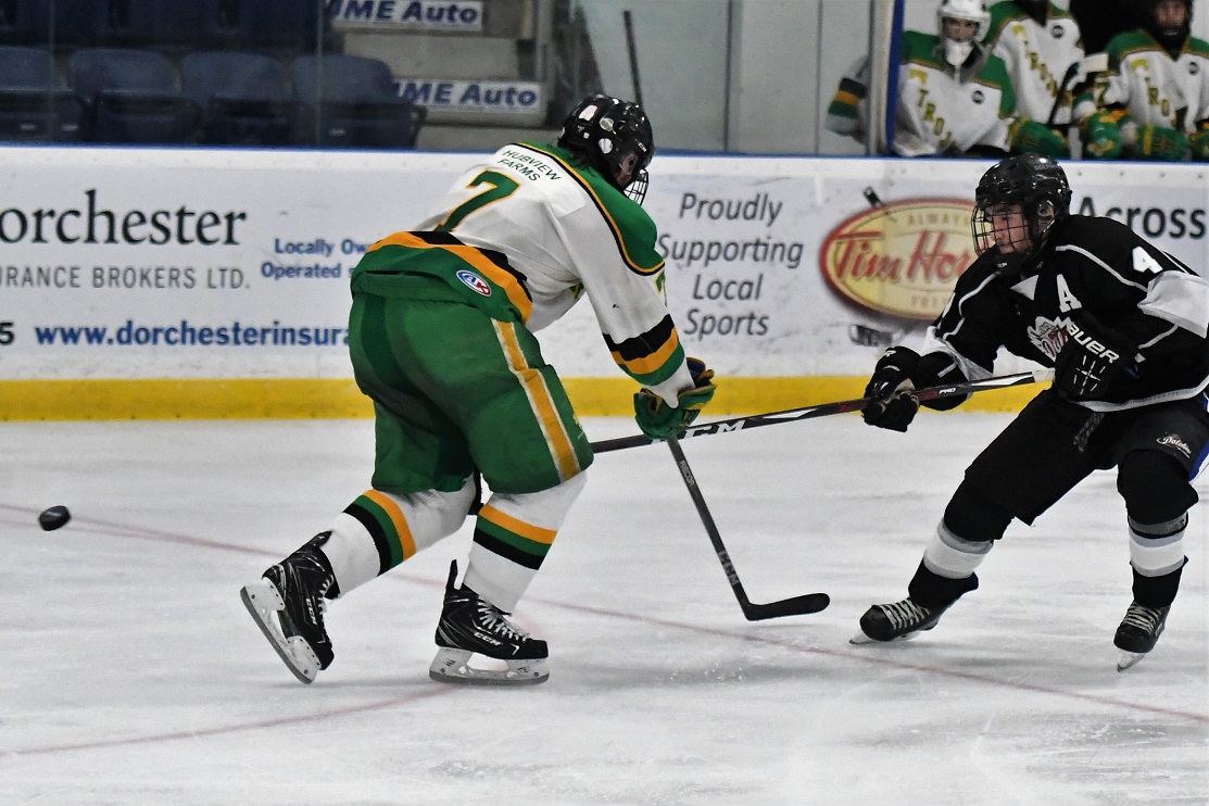 Dolphins vs Thamesford