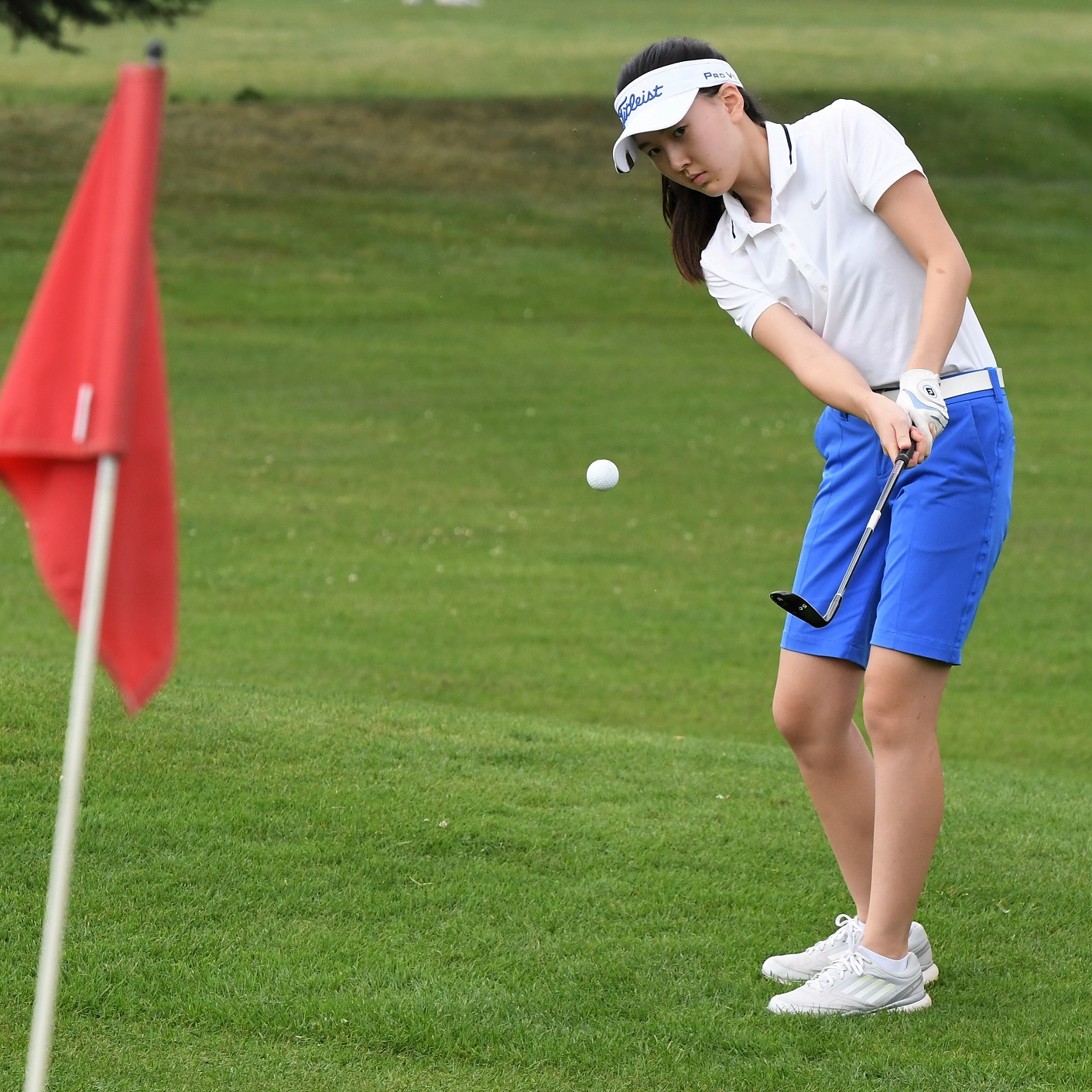 Won chip to the greens