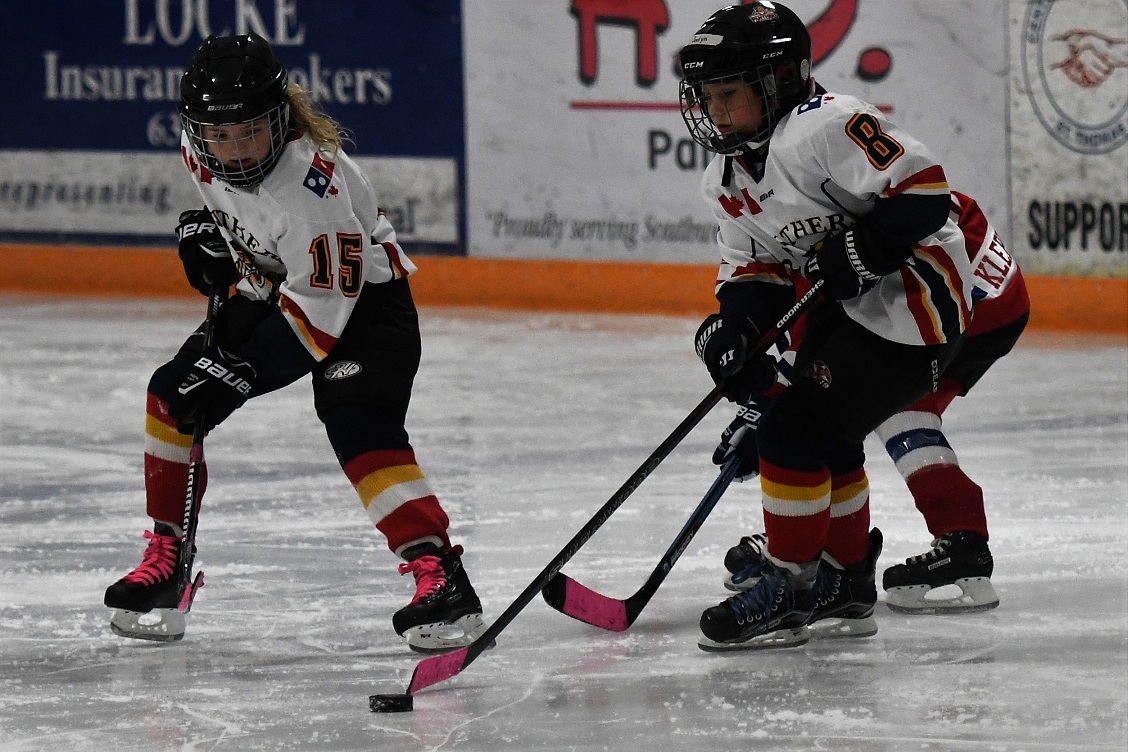 Panthers on the Prowl Novice