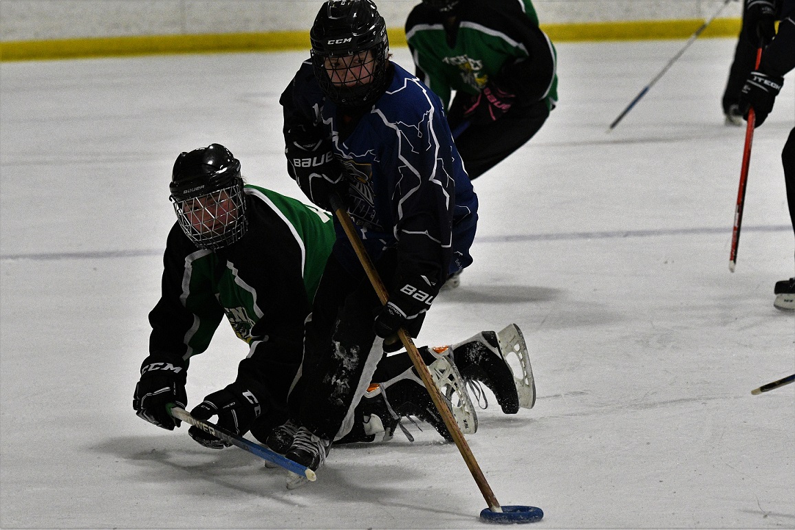 Western regional ringette