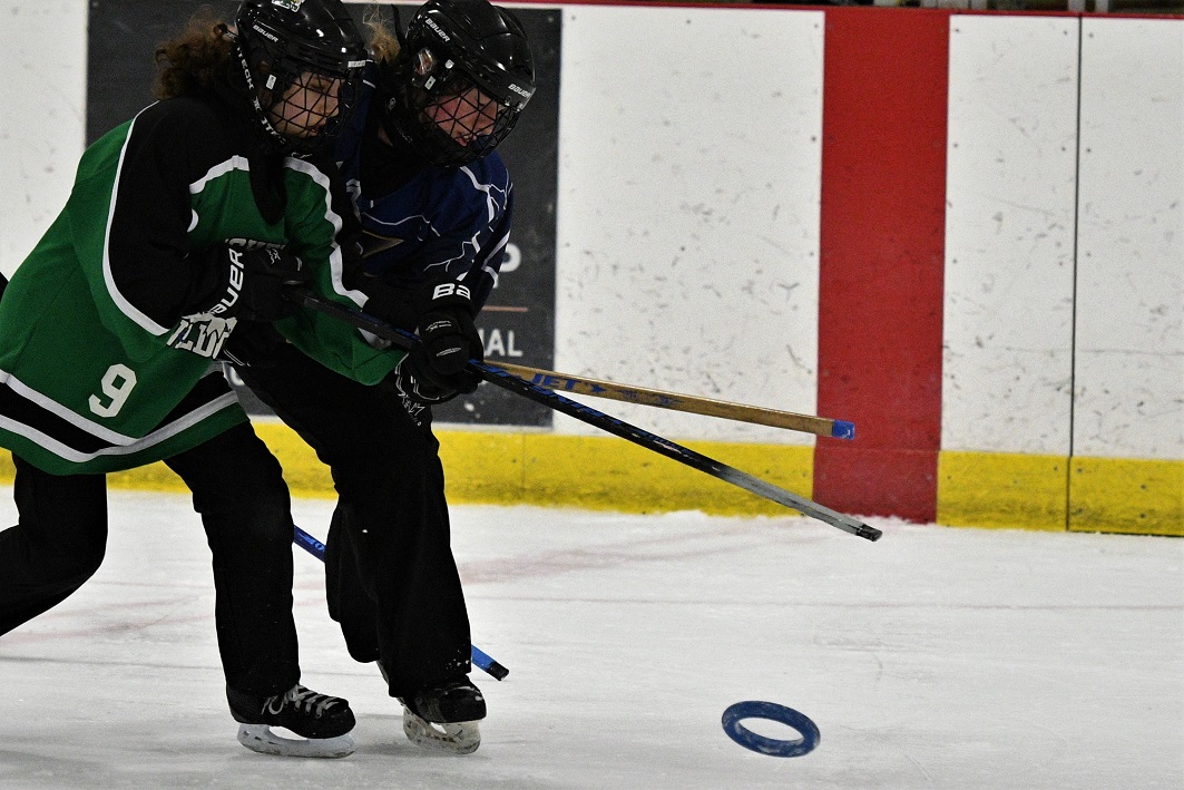 Western regional ringette