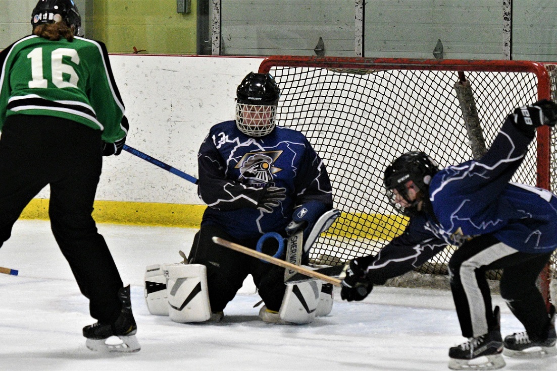 Western regional ringette