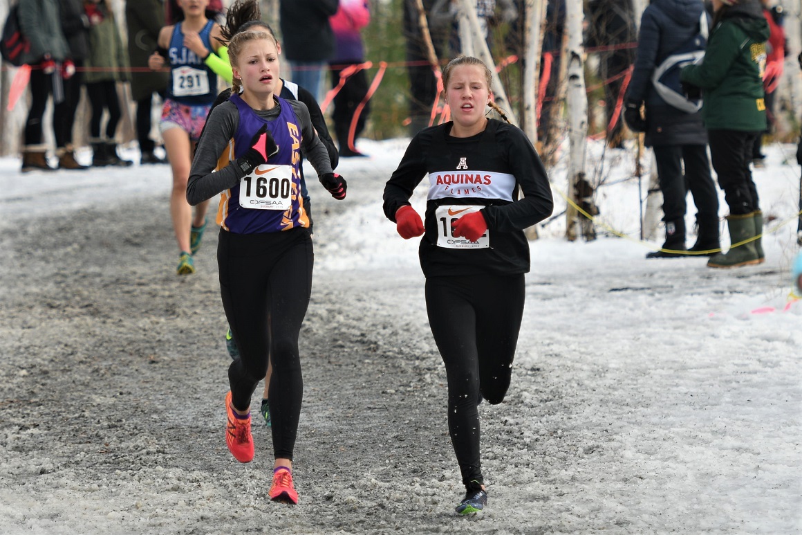 OFSAA XC