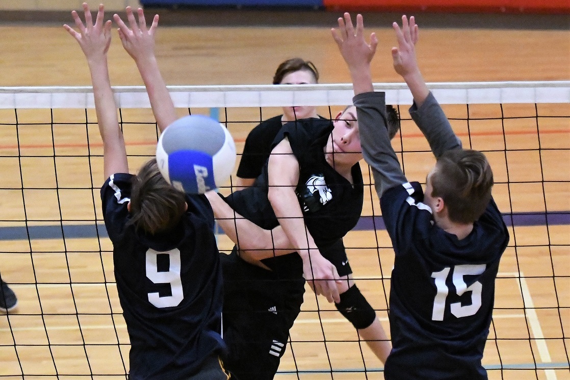 TVDSB Valley boys volleyball final